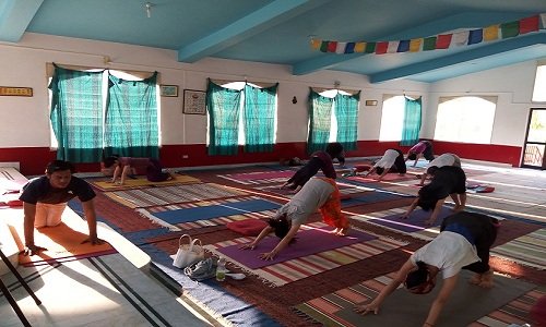 Long hours yoga classes, 100 hrs session for beginners