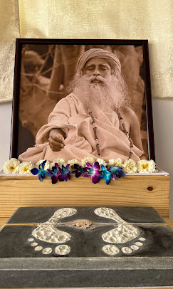 Classical Hatha Yoga and Balance Program