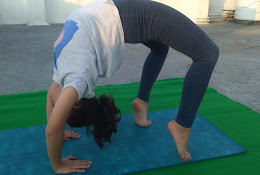 Shekhar Yoga  Center Dehradun