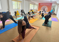 Yogalife Indore  Yoga Studio